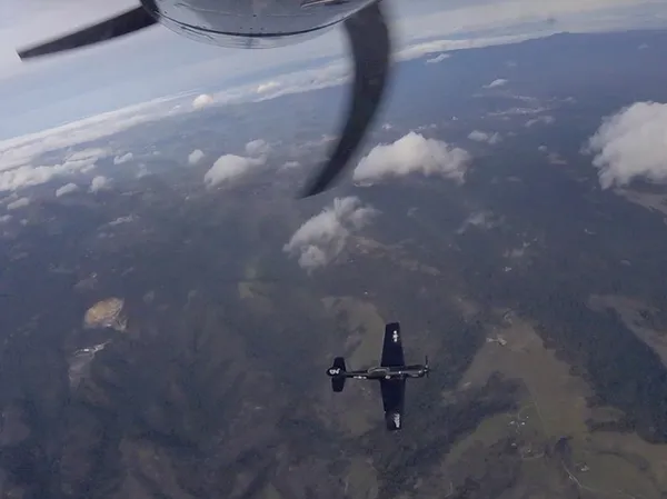 Yak-50 photo 10