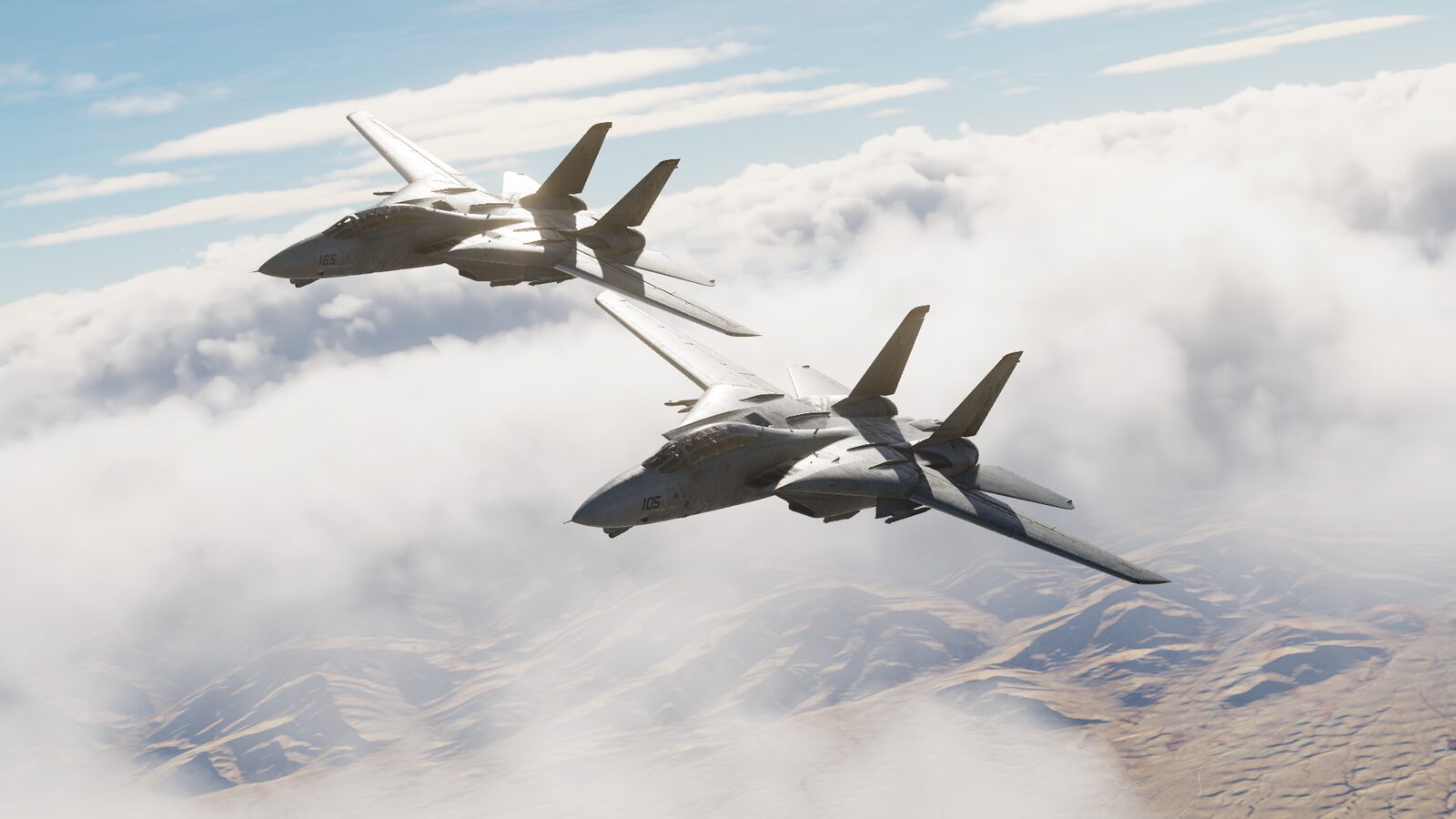 DCS F-14 screenshot