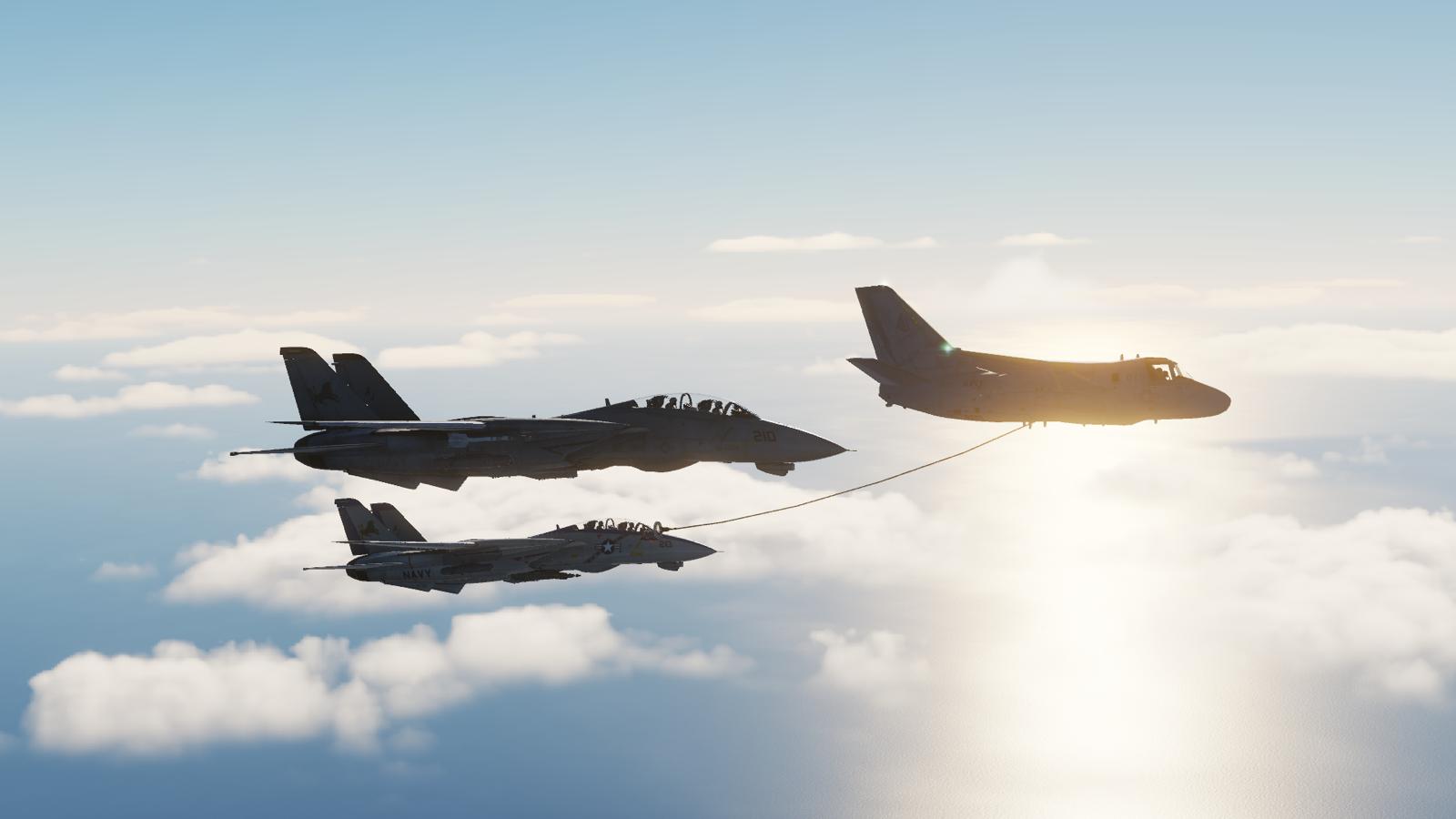 DCS F-14 screenshot
