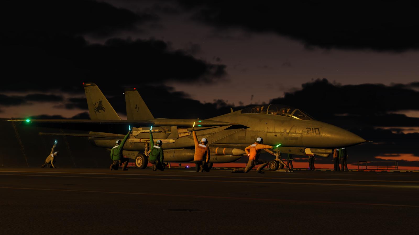 DCS F-14 screenshot
