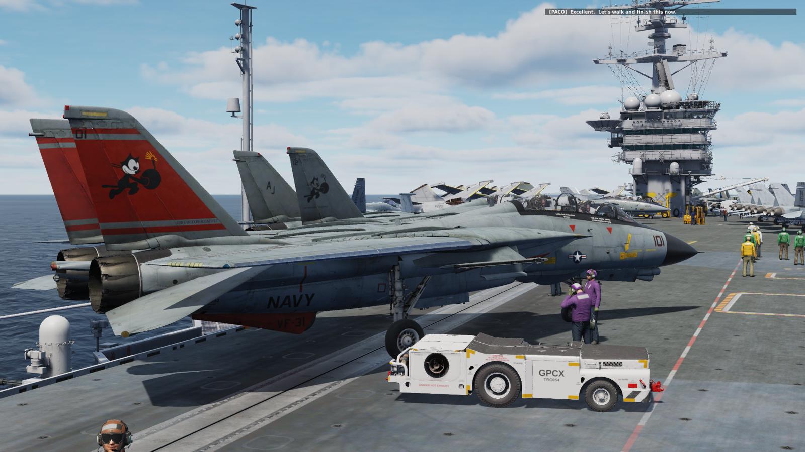 DCS F-14 screenshot