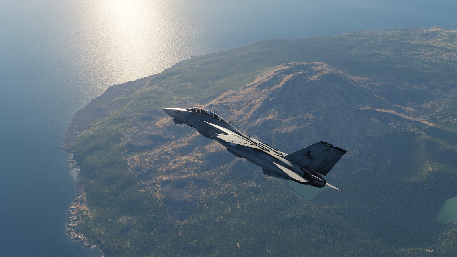 DCS F-14 screenshot